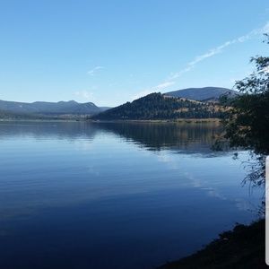 Meet your Posher, Josie